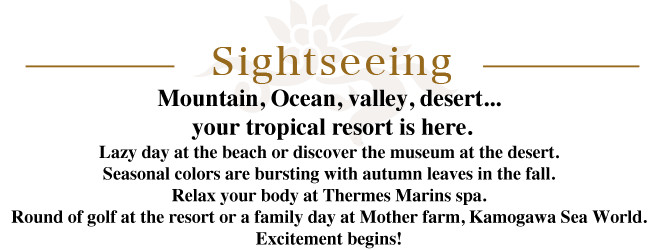 Mountain, Ocean, valley, desert... your tropical resort is here.