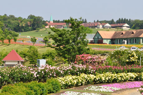 Mother Farm